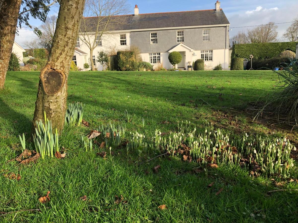 Treweens Wadebridge Eksteriør billede